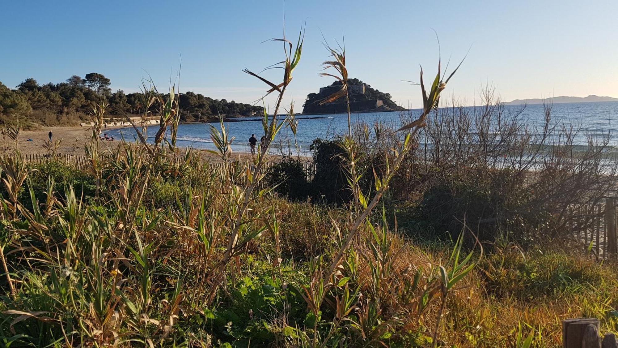 Rez De Jardin T3 Recent Et Calme Au Nouvelles Terres A La Londe Les Maures Apartman Kültér fotó