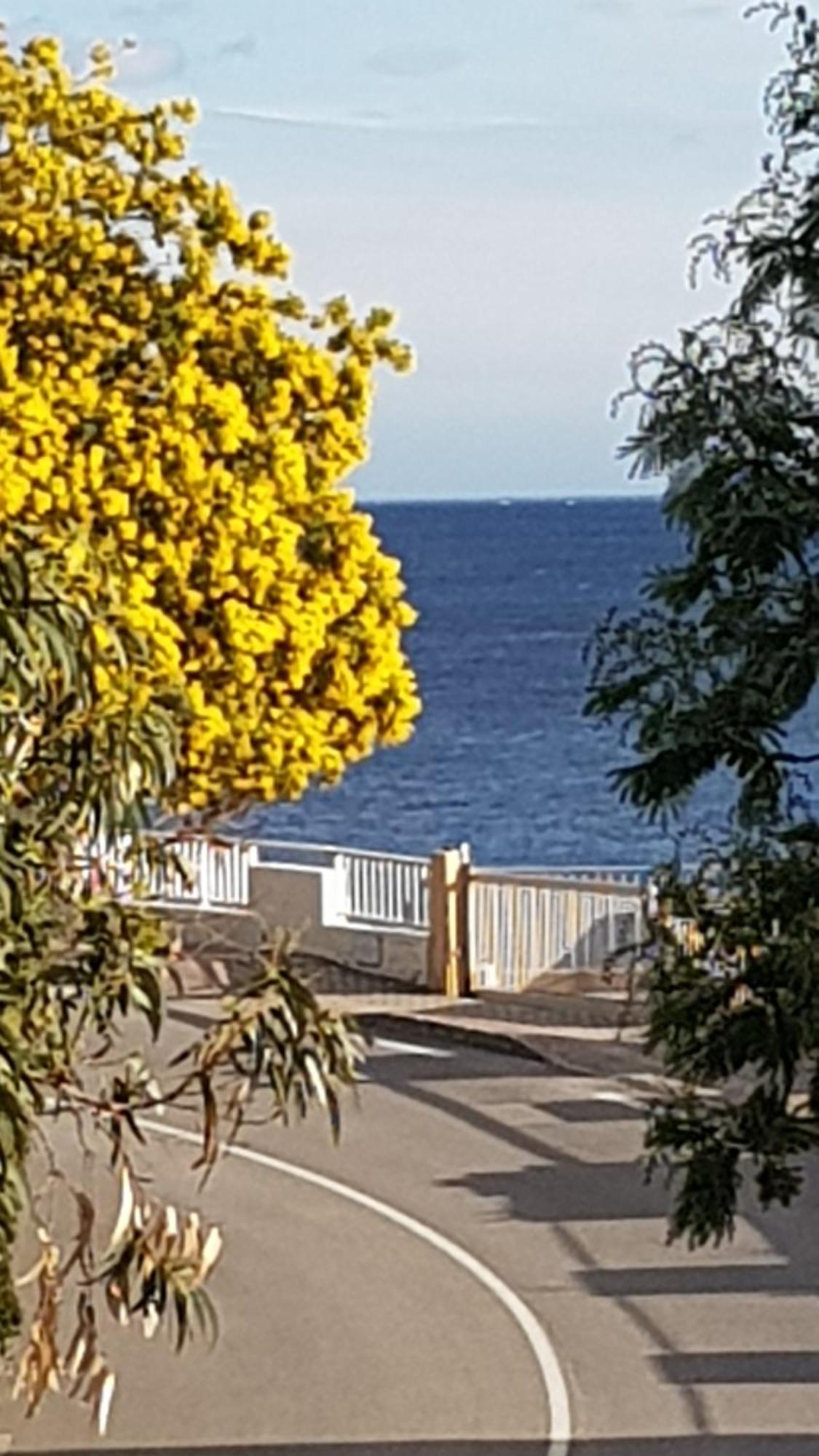 Rez De Jardin T3 Recent Et Calme Au Nouvelles Terres A La Londe Les Maures Apartman Kültér fotó