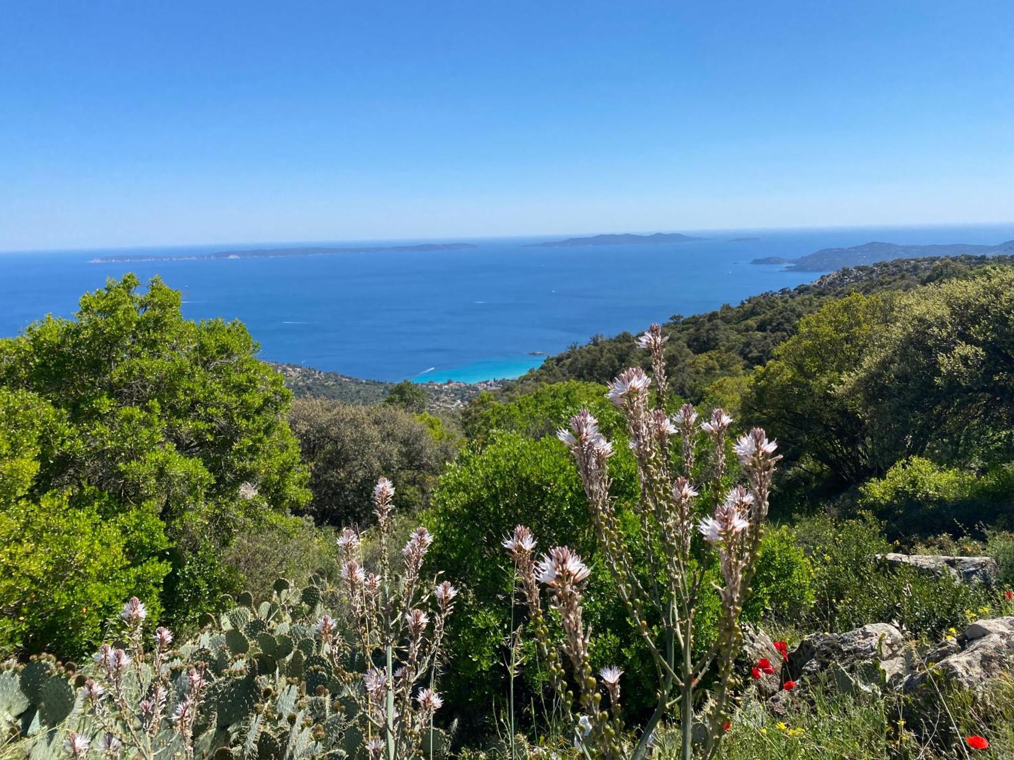 Rez De Jardin T3 Recent Et Calme Au Nouvelles Terres A La Londe Les Maures Apartman Kültér fotó