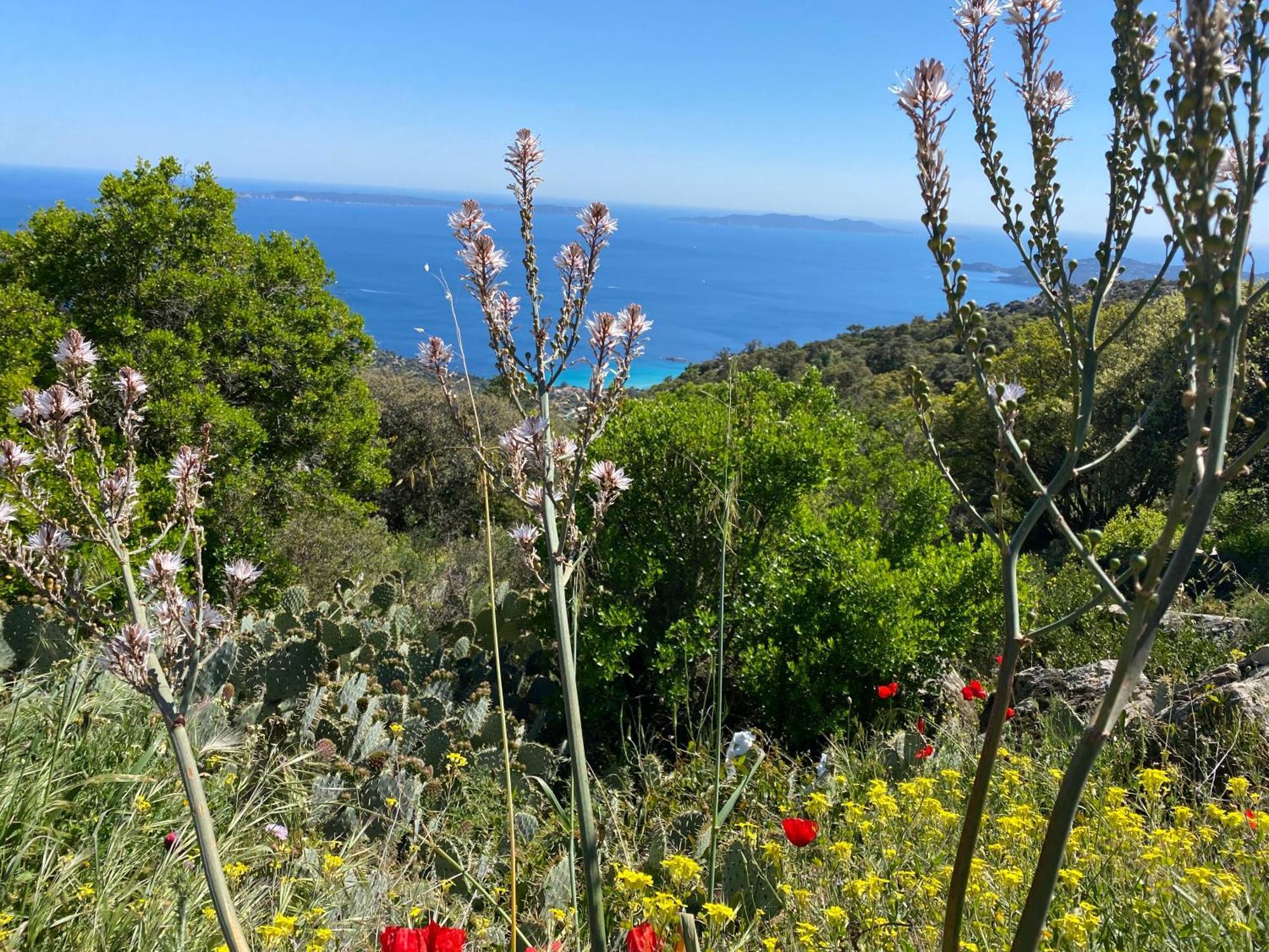 Rez De Jardin T3 Recent Et Calme Au Nouvelles Terres A La Londe Les Maures Apartman Kültér fotó
